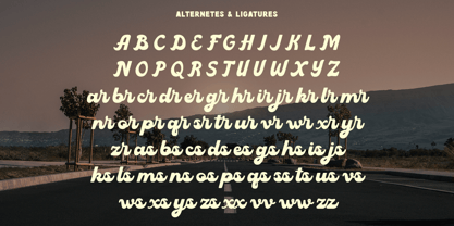 Summer Ambience Font Poster 8