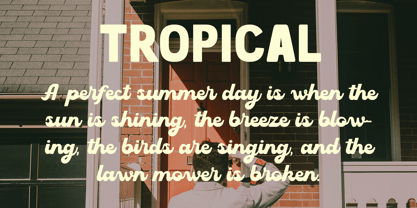 Summer Ambience Font Poster 5