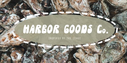 Oyster Brine Font Poster 5