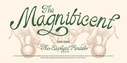 Nufaria Font Poster 3