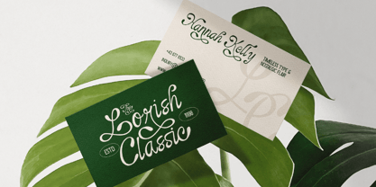 Nufaria Font Poster 6