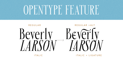 Beverly Walters Font Poster 10