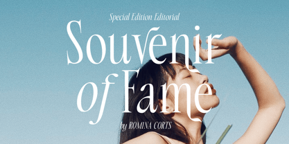 Beverly Walters Font Poster 2