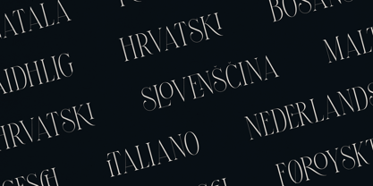 Thorn and Tale Font Poster 11