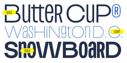 Plex Soft Font Poster 3