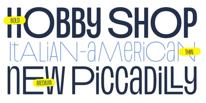 Plex Soft Font Poster 5