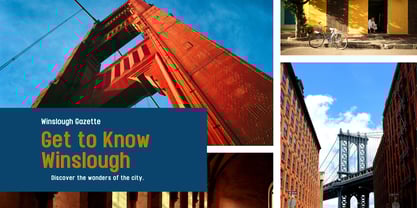 Fox Rivea Font Poster 7