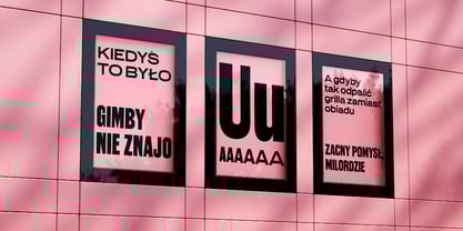 Impacto Sans Font Poster 10