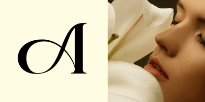 Semdy Font Poster 10