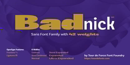 Badnick Font Poster 1