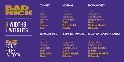 Badnick Font Poster 3