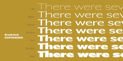 Badnick Font Poster 12