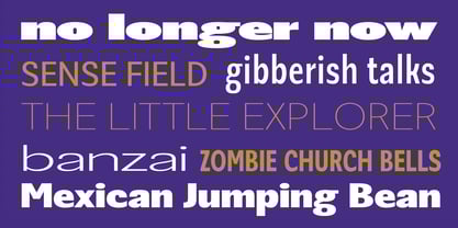 Badnick Font Poster 6