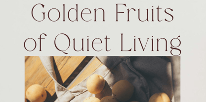 Rusore Font Poster 7