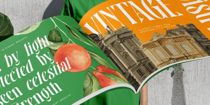 Bastfeng Skylight Font Poster 2