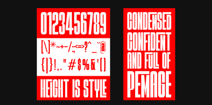 Pemage Font Poster 11