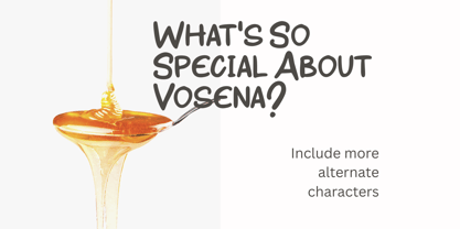 Vosena Font Poster 6
