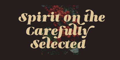 Blish Gham Font Poster 9