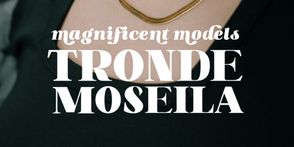 Blish Gham Font Poster 10