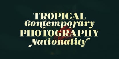 Blish Gham Font Poster 4