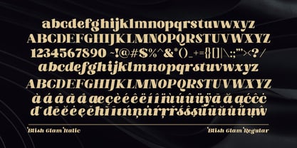 Blish Gham Font Poster 13