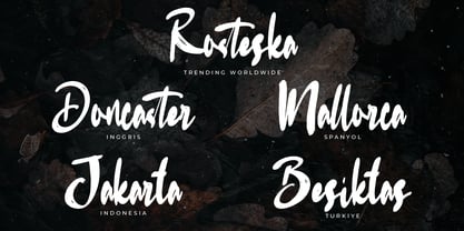 Rosteska Font Poster 4