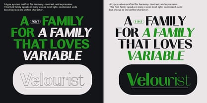 Brutone Font Poster 4