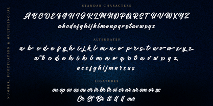 Couraged Script Font Poster 6