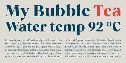 Vivala Marbod Font Poster 9