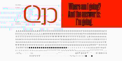 Macrosoma Slab Stencil Font Poster 7