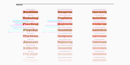 Macrosoma Slab Stencil Font Poster 8