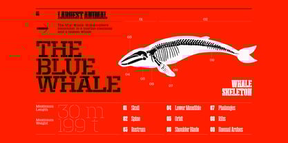 Macrosoma Slab Stencil Font Poster 5