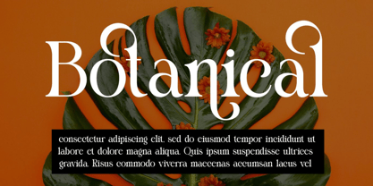 Mliach Font Poster 3