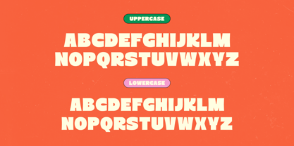 Order Snack Font Poster 10