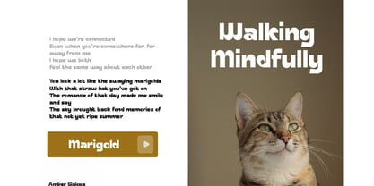 Amber Sialopa Font Poster 5