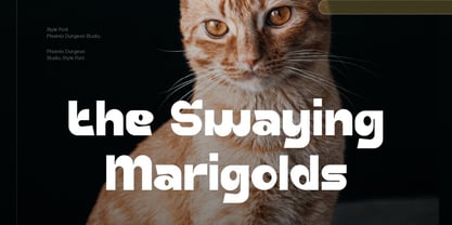 Amber Sialopa Font Poster 6