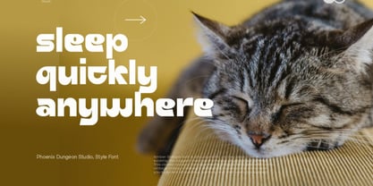 Amber Sialopa Font Poster 4