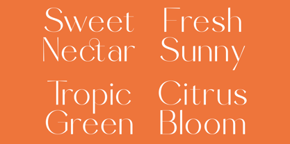 Sunveil Orange Font Poster 10