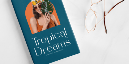 Sunveil Orange Font Poster 11