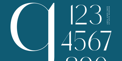 Sunveil Orange Font Poster 13