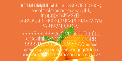 Sunveil Orange Font Poster 12