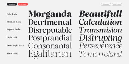 Romellis Font Poster 8
