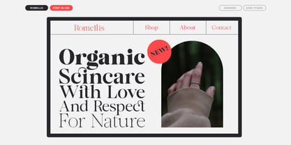 Romellis Font Poster 4