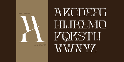 Roab Luxury Font Poster 5
