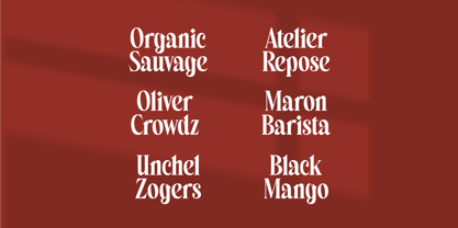 Belagu Font Poster 7