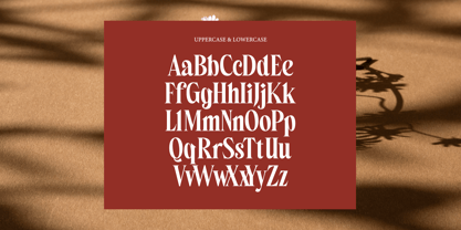 Belagu Font Poster 12