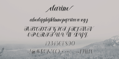 Elarine Font Poster 4