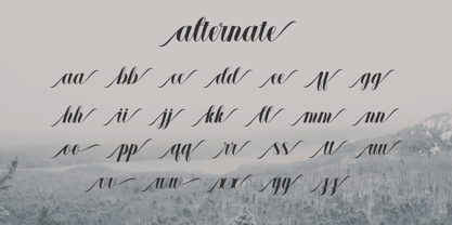 Elarine Font Poster 5