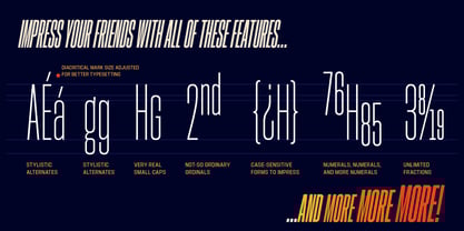 Hype 0300 Font Poster 6