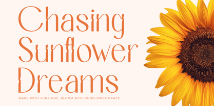 Bemgola Font Poster 6